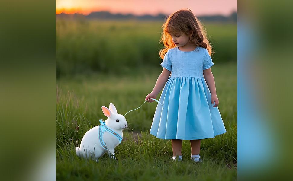 2 Pack Rabbit Harness and Leash Set, Double Buckle Bunnies Harness with Reflective Strips Soft Breathable Mesh Vest Harness for Rabbits Walks Accessories(Blue and Black)