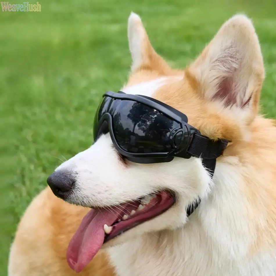 Windproof Frame Dog Goggles with Adjustable Polyester Strap, UV400 Anti-Fog Eye Protection for Small to Medium Pets for Outdoor Riding & Skiing, Black Frame