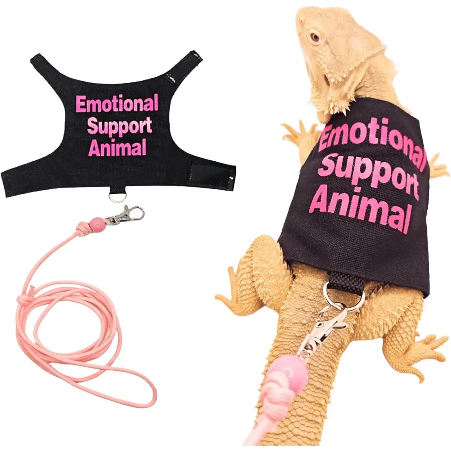 Bearded Dragon Harness with Leash & Handmade Walking Clothes Set, Small Reptile Accessories for Guinea Pigs, Pet Collars & Leads Supplies