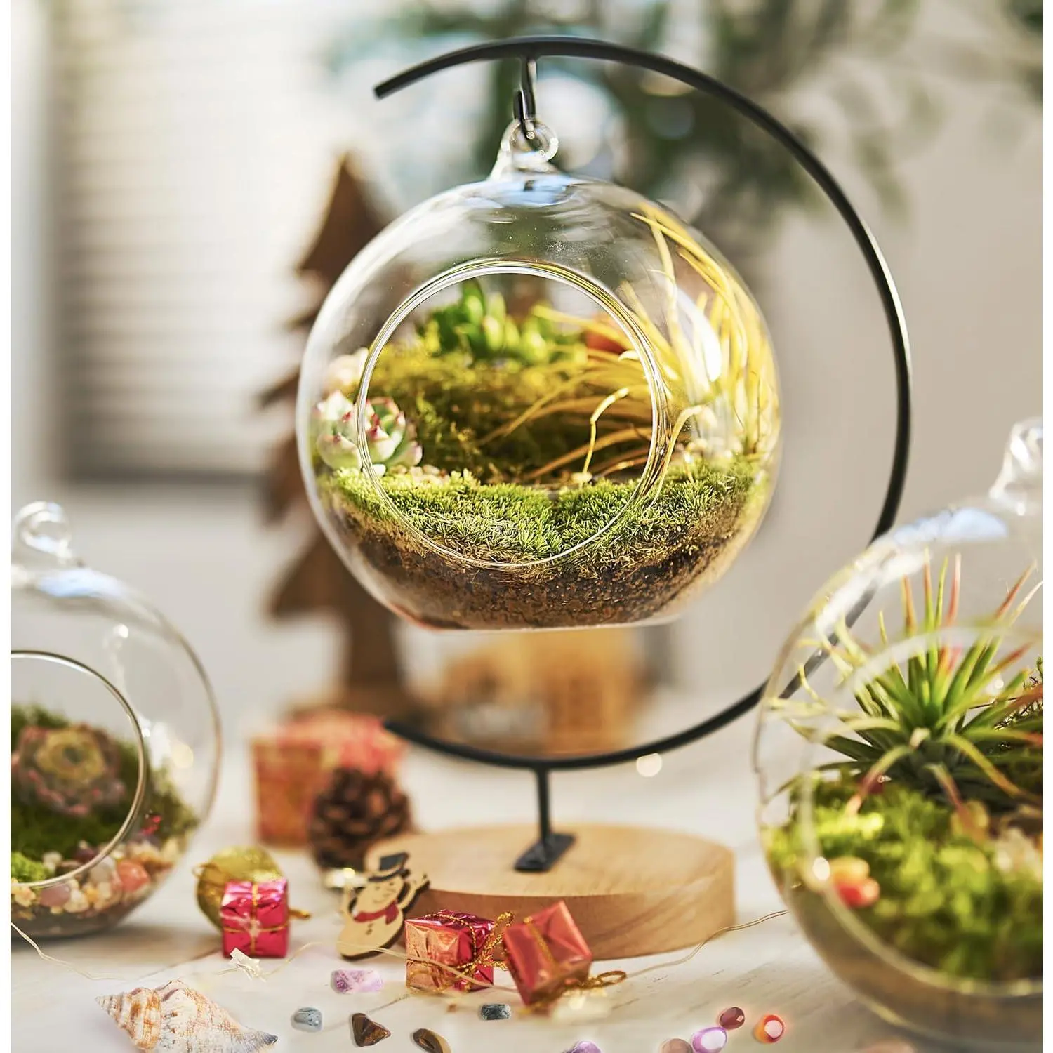 DIY Terrarium Kit with Live Moss, 15-Piece Glass Globe Set with Wooden Stand, Tools, Soil, Stones & Spray Bottle, Indoor Mini Garden Gift for Plant Lovers, Home Desk Decor