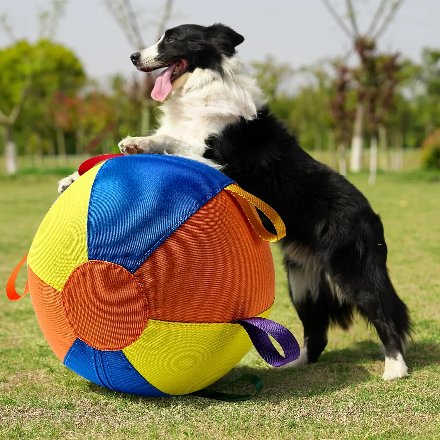Dog Chase Training Colorful Inflatable Outdoor Toy, Pet Ball with Handle, Self-Amusement Pet Toy with Pump, Pd60221 Model