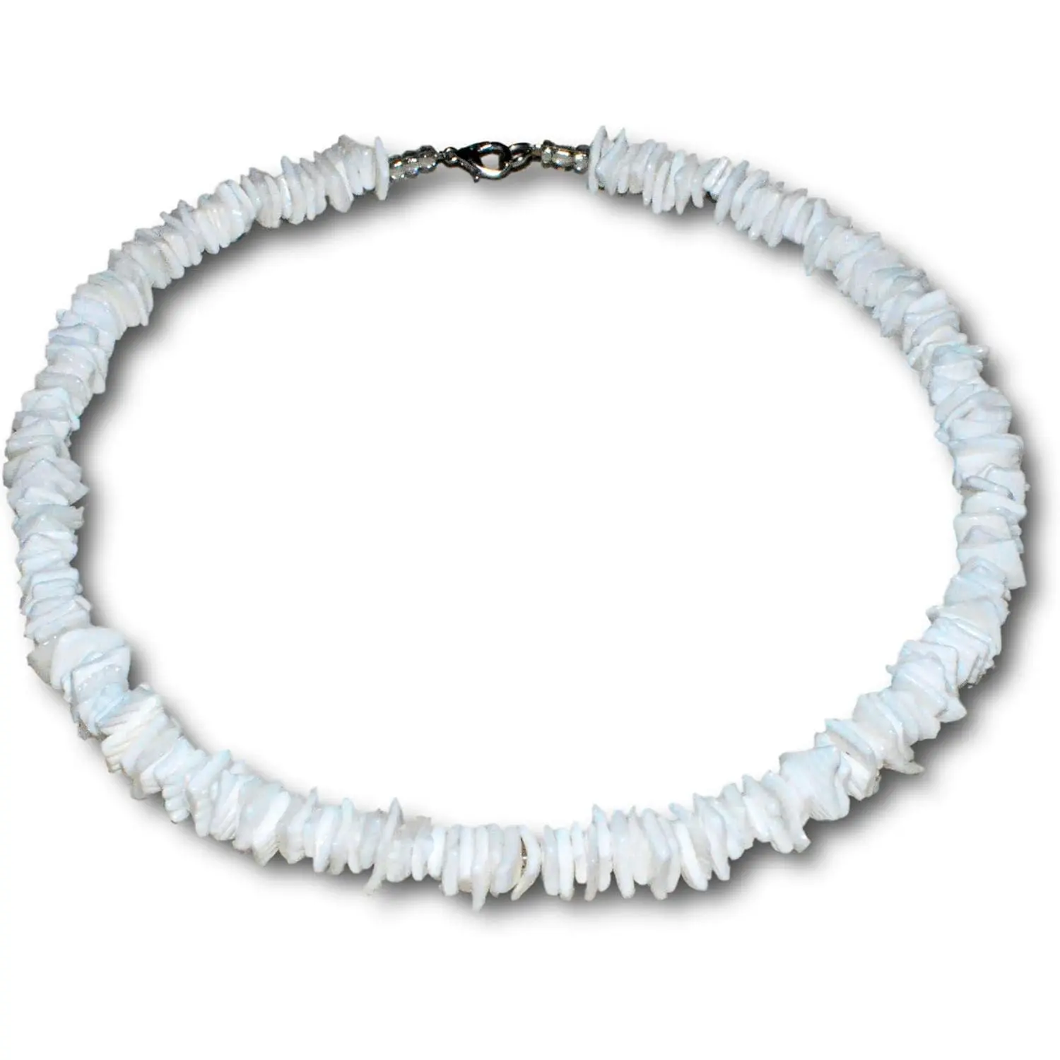 Mens and Womens White Rose Clam Chips Ark Shells Tropical  Summer Beach Surfer Necklace From the Philippines with Lobster Clasp