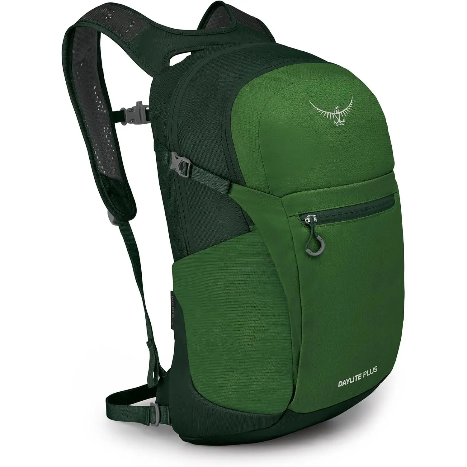 Daylite Plus Commuter Backpack - Lightweight, Everyday Pack with Laptop Sleeve and Water Bottle Pockets - Ideal for Work, School, and Travel with Versatile Storage, Green Belt/Green Canopy