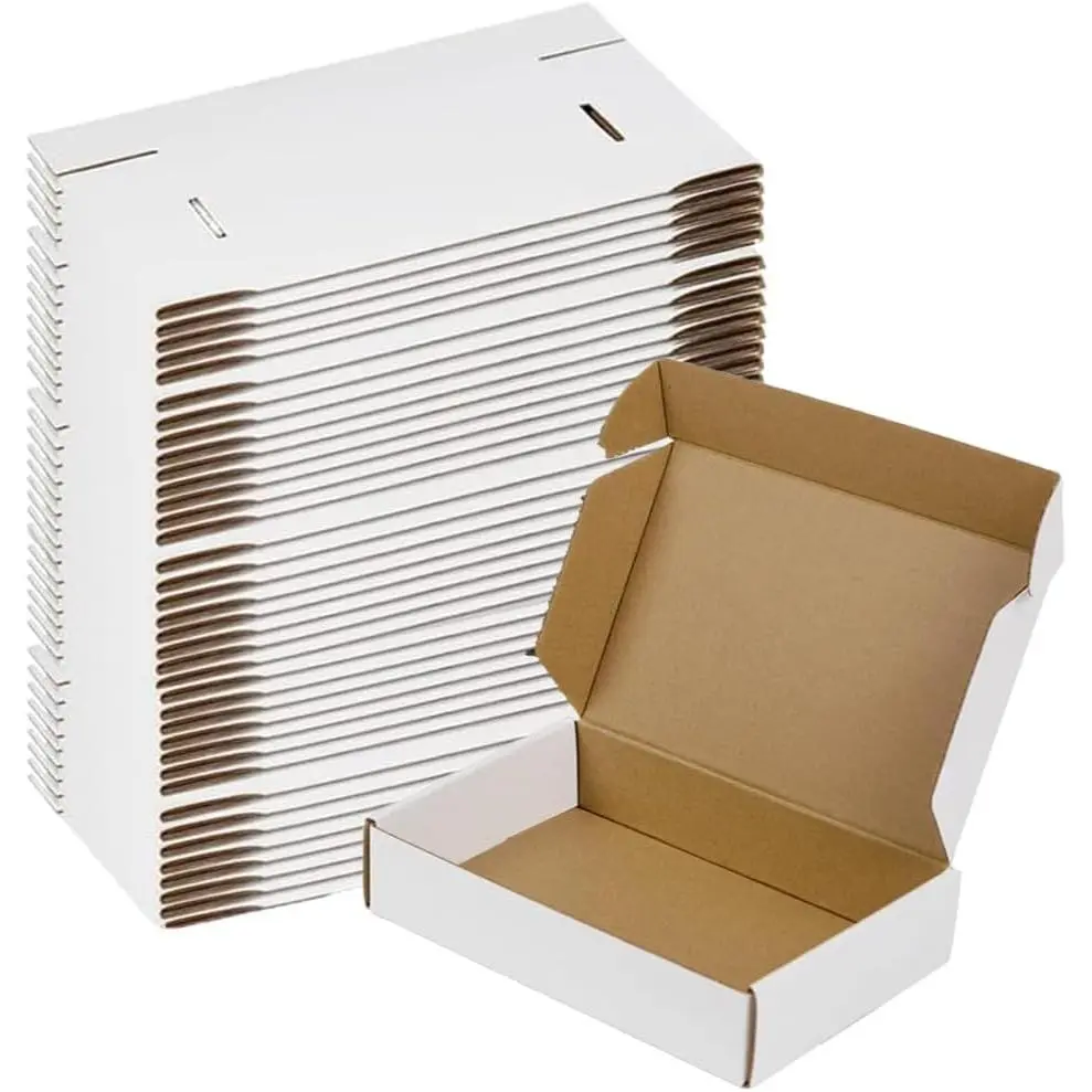 20-Pack 9x6x2 in White Corrugated Cardboard Shipping Boxes, Tool-Free Easy-to-Fold Flat Package for Pet Supplies Small Business, Display Business Brand Stickers & Labels, 50 Pack