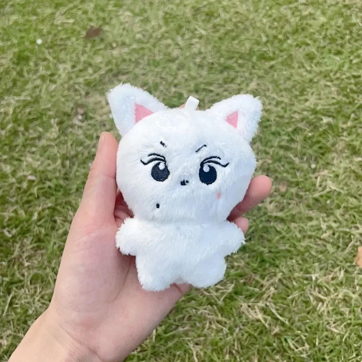 JUNGWON HEESEUNG JAY JAKE SUNGHOON Kpop Plush  Stuffed Toys Keyring Kawaii Cartoon Pendant Accessories Bag Fans Gift