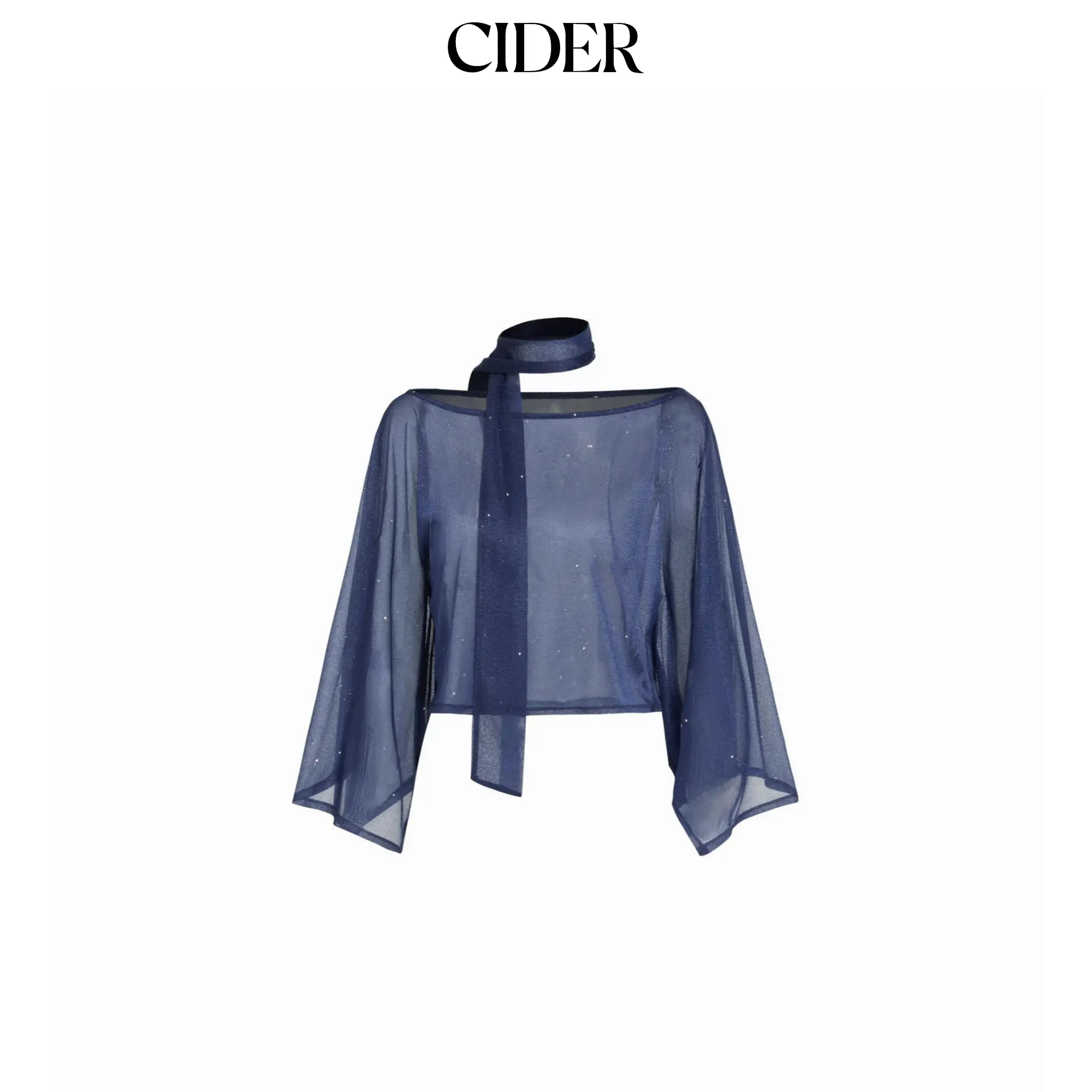 Cider Sheer Glitter Chiffon Boat Neck Top with Scarf