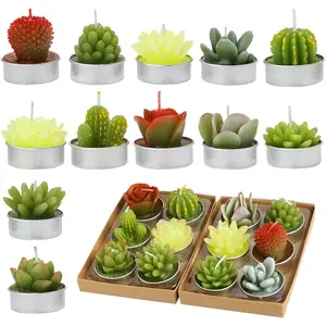 12 count Cactus Tealight Candles  Delicate Succulent  Lights Candle  for Birthday Party Wedding   Decor Gifts (12pcs Cactus Candles)