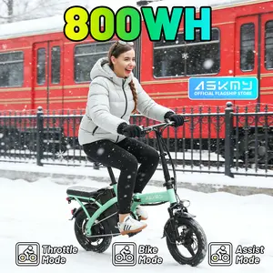 E14 Lightweight Folding Electric Bike 48V 800Wh – Up to 35 Miles | 14" Tires, LED Display & Dual Disc Brakes | Space-Saving Design for Urban Living
