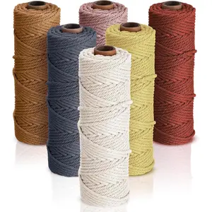 6 Rolls 3mm x 328 Yards Macrame Cotton Cord 6 Soft Colors for DIY Wall Plant Hanger Crafts Knitting Making Supplies
