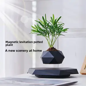 Magnetic levitation plant pot, unique and novel flower pot, creative bonsai craft gift, Father's Day present, living room decoration, beautiful, natural, and high-end