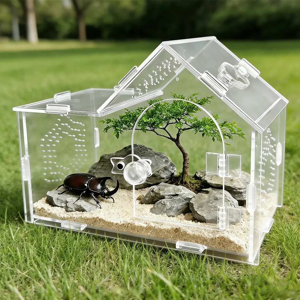 Creative Acrylic Pet Terrarium Enclosure, 360° Transparent, Dual Magnetic Doors, Multi-Side Ventilation, Ideal for Jumping Spiders, Hermit Crabs, Beetles