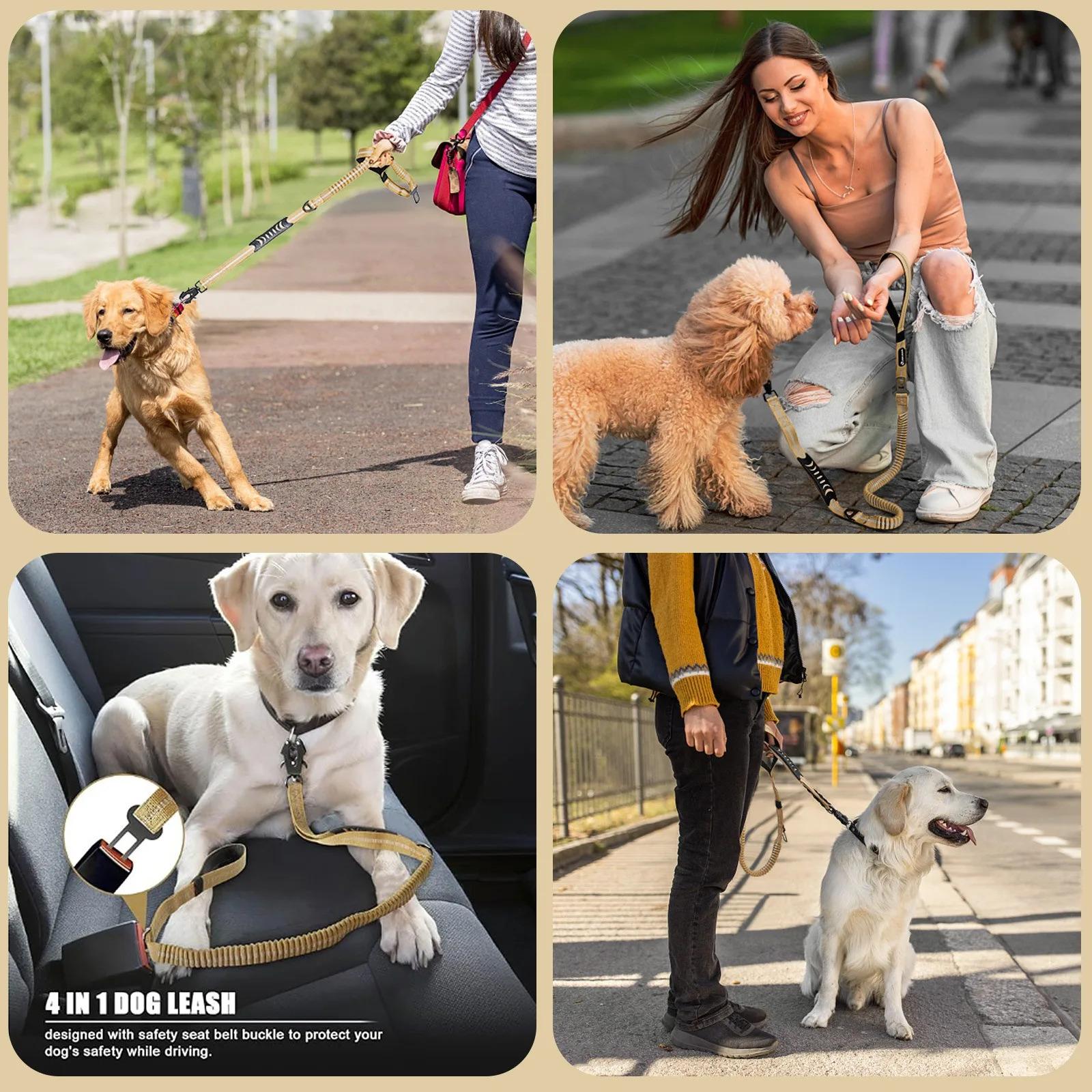 Bungee Dog Leash, No Tangle Leash, Heavy Duty Dog Leash with Shock Absorption, Comfortable Training Leash for Dogs#GLOBAL PICKS