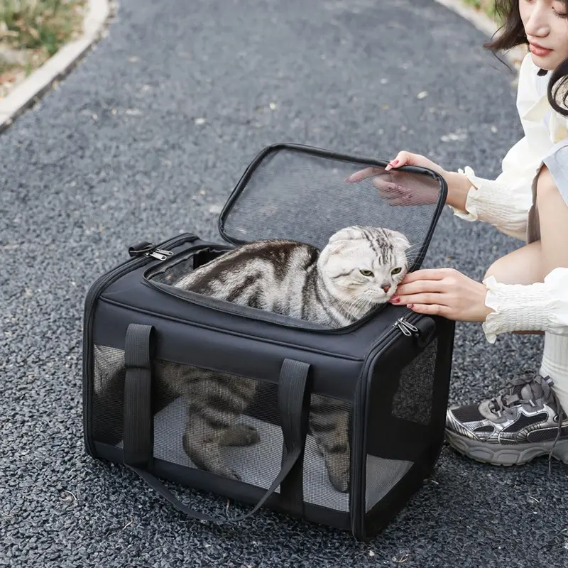 Pet Transport Bag for Cats and Small Dogs, Foldable Design with Ventilated Mesh, Comfortable Padding, Ideal for Daily Use, Handheld Shoulder Backpack