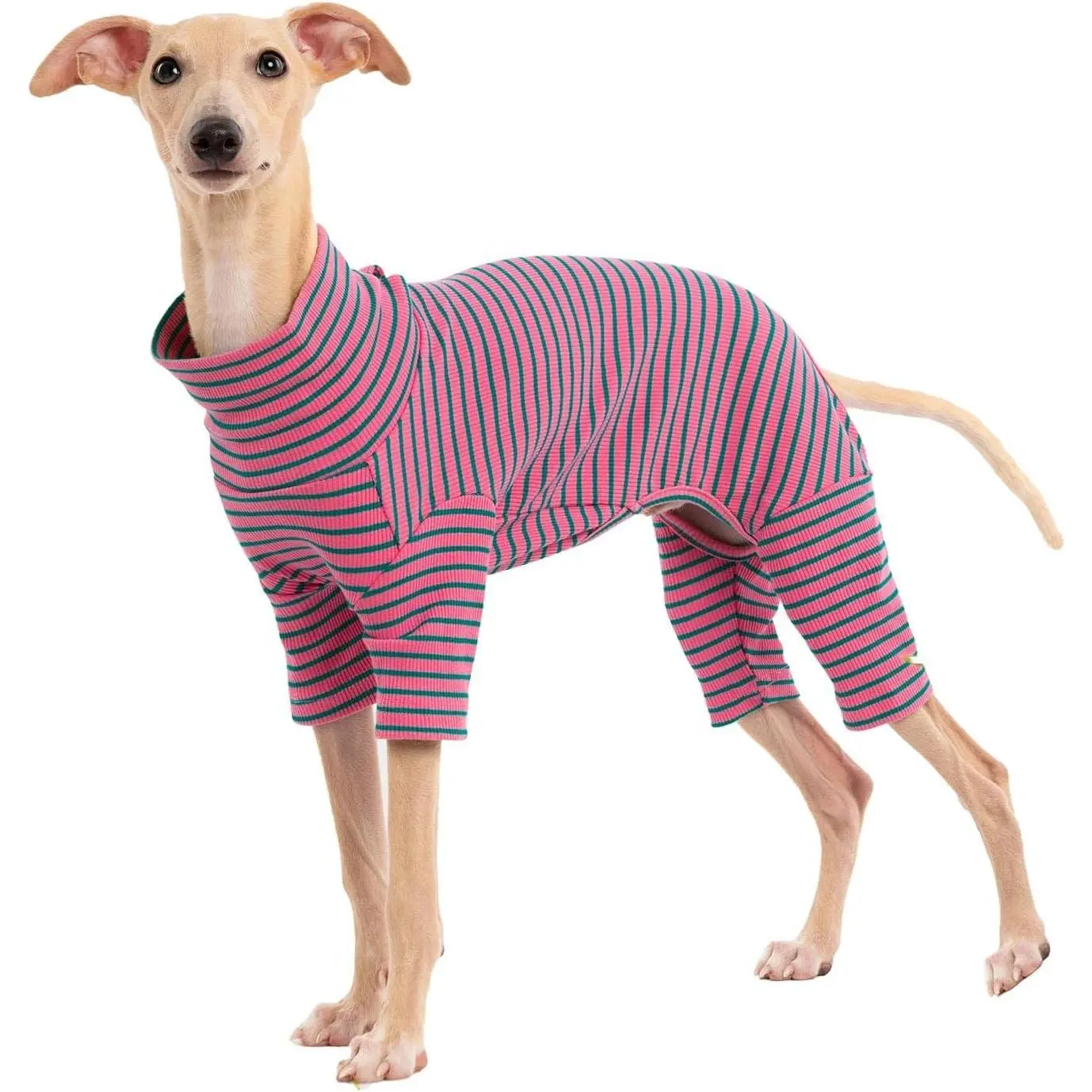 Dog Sweaters for Small Dogs Girls Boys, Striped Pet Sweaters for Fall Winter Dog Clothes, Turtleneck Pullover Knitwear for Small Medium Large Dogs