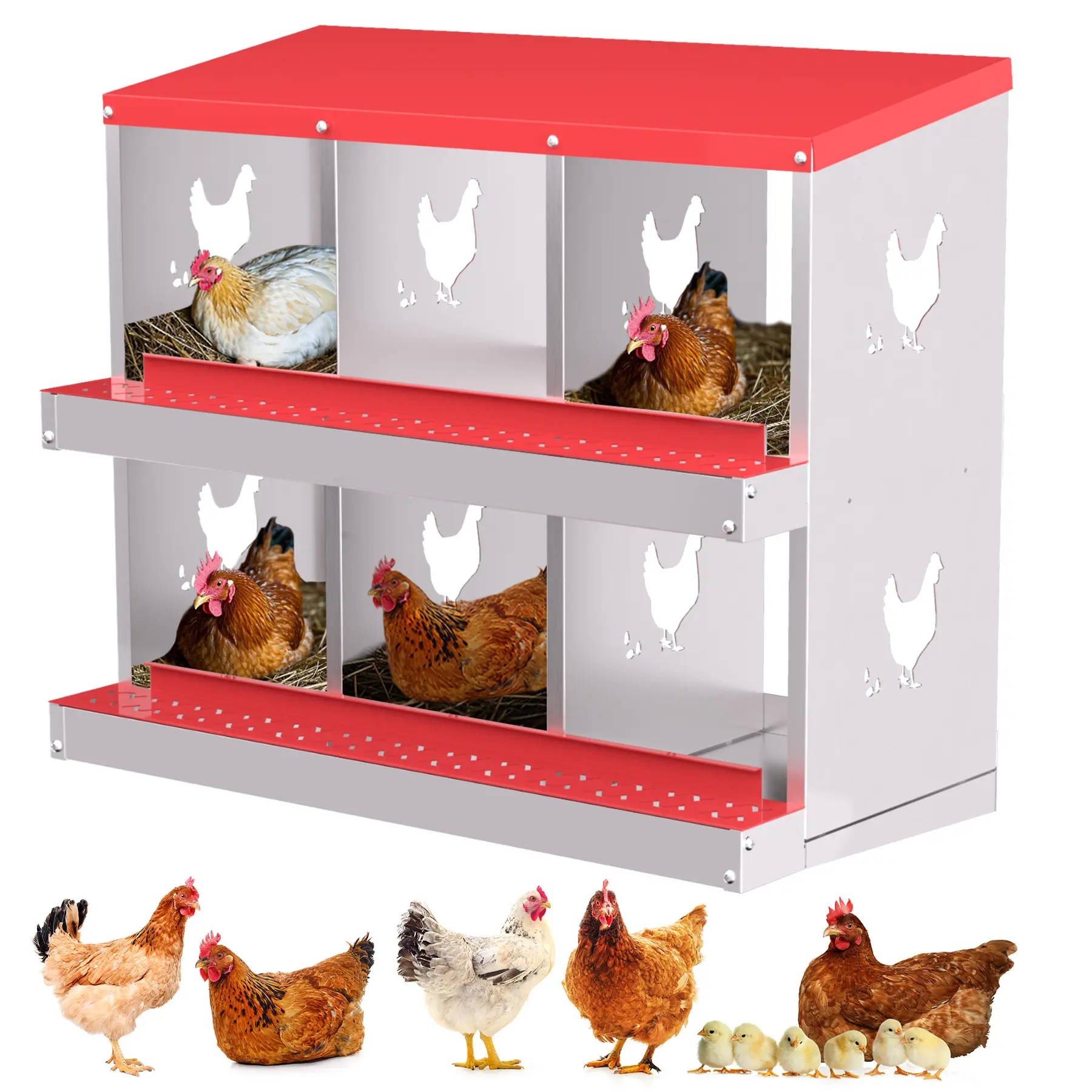 Galvanised Steel Chicken Nesting Box, 6, 8, or 10 Compartments, Red or Green, With or Without Legs