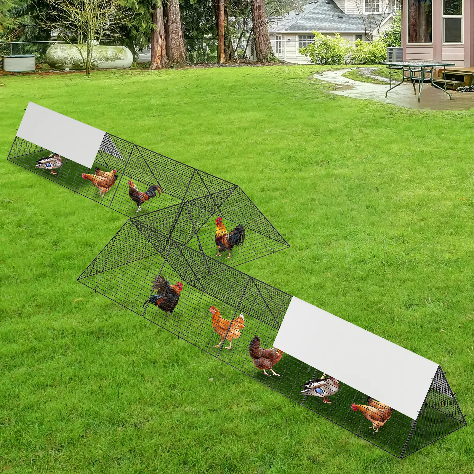 Large Metal Chicken Tunnel with Corner Frame, Waterproof UV Cover, Portable Outdoor Run for Chickens Ducks Rabbits