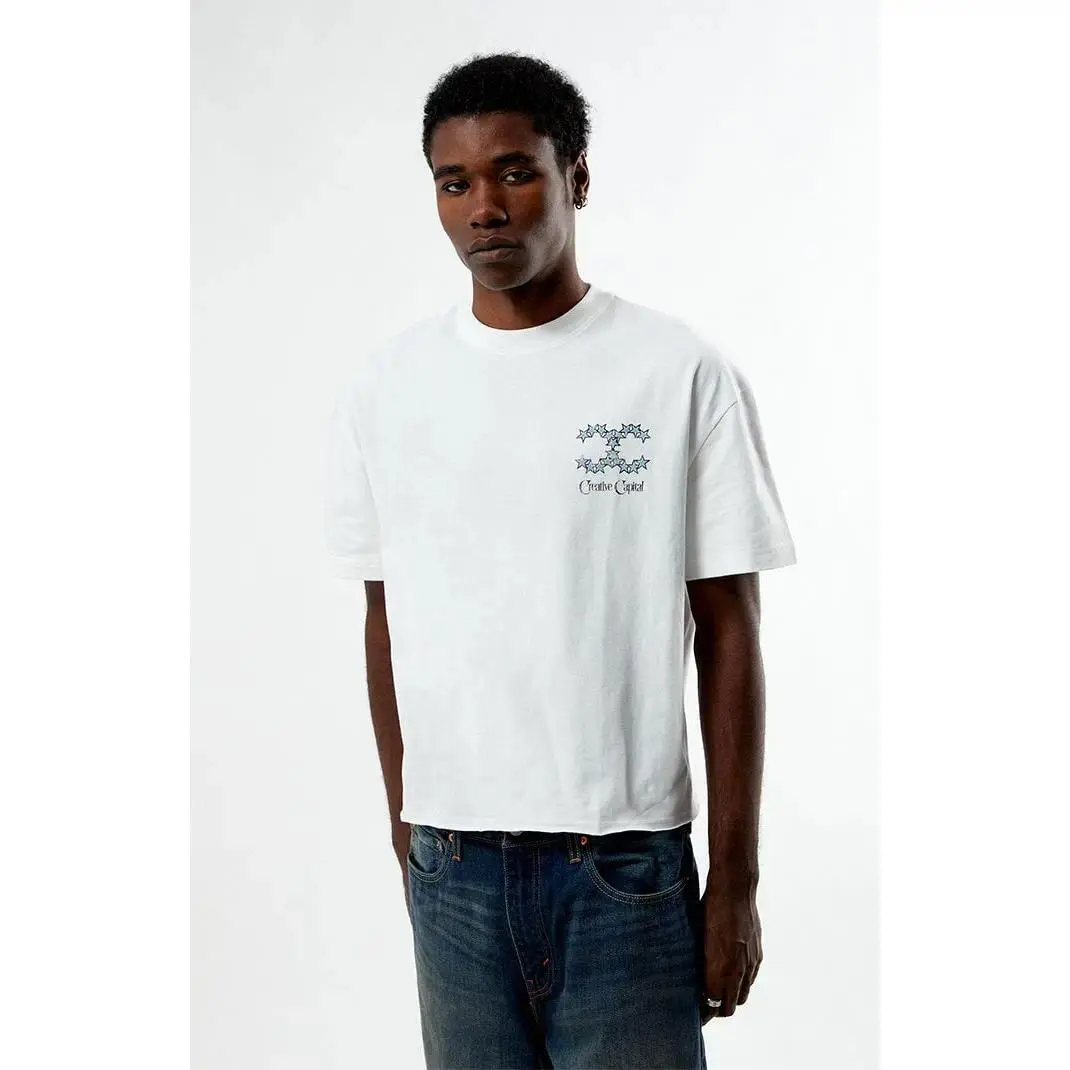 Pacsun Men's Creative Capital Cropped Boxy T-Shirt