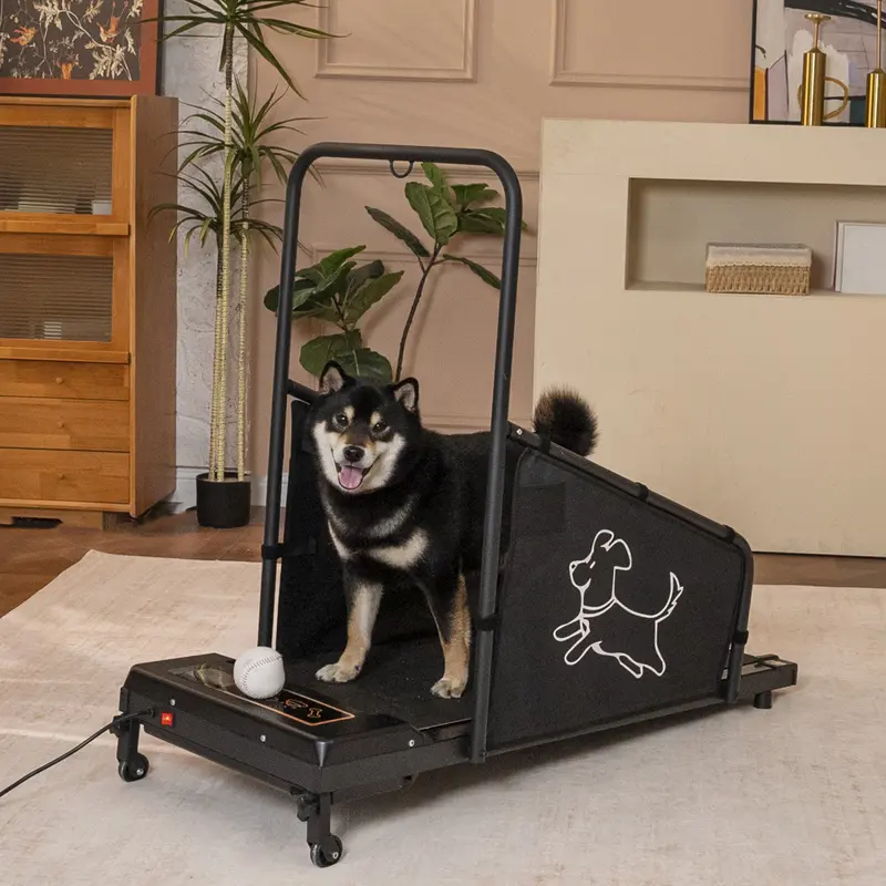 Dog Treadmill for Medium Dogs - Electronic Pet Fitness Equipment for Walk, Run Training & Healthy Exercise