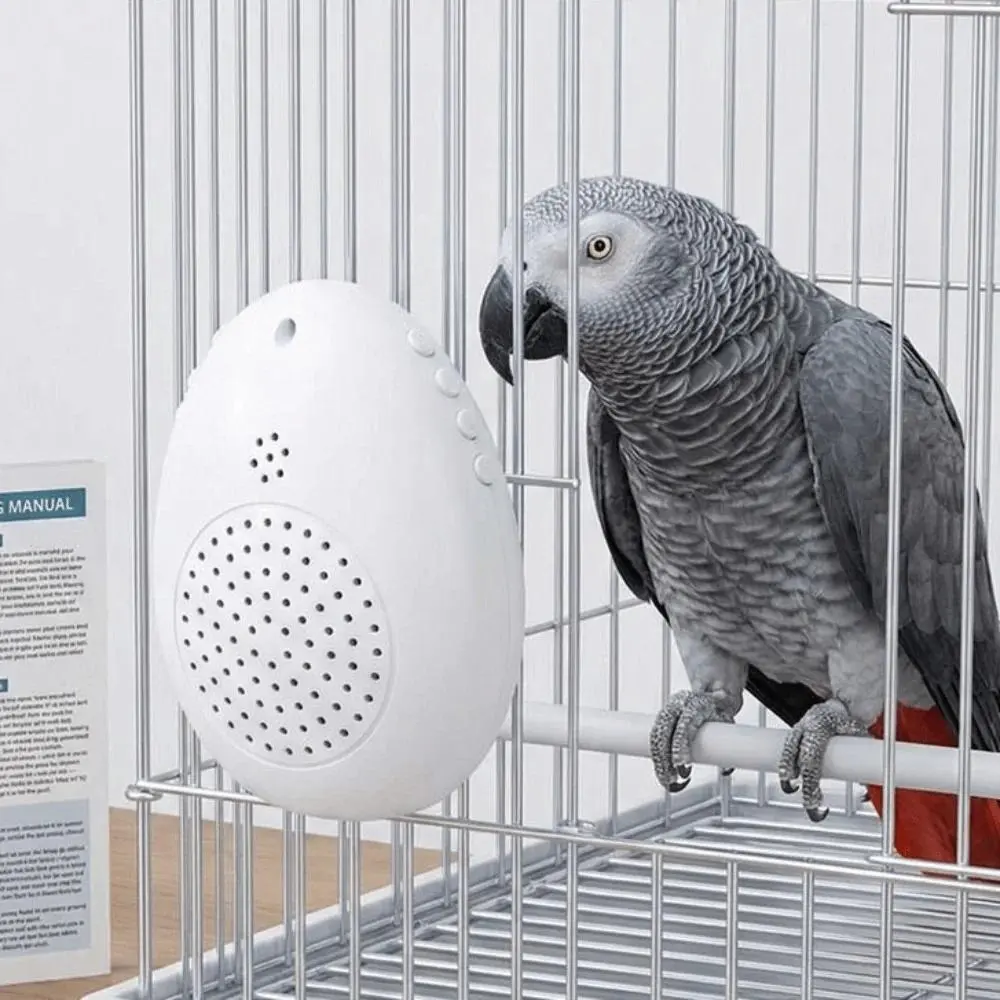Recording Bird Learning Machine Interactive Timer-Controlled Speech Training Machine Playback Multi Segment Audio Source
