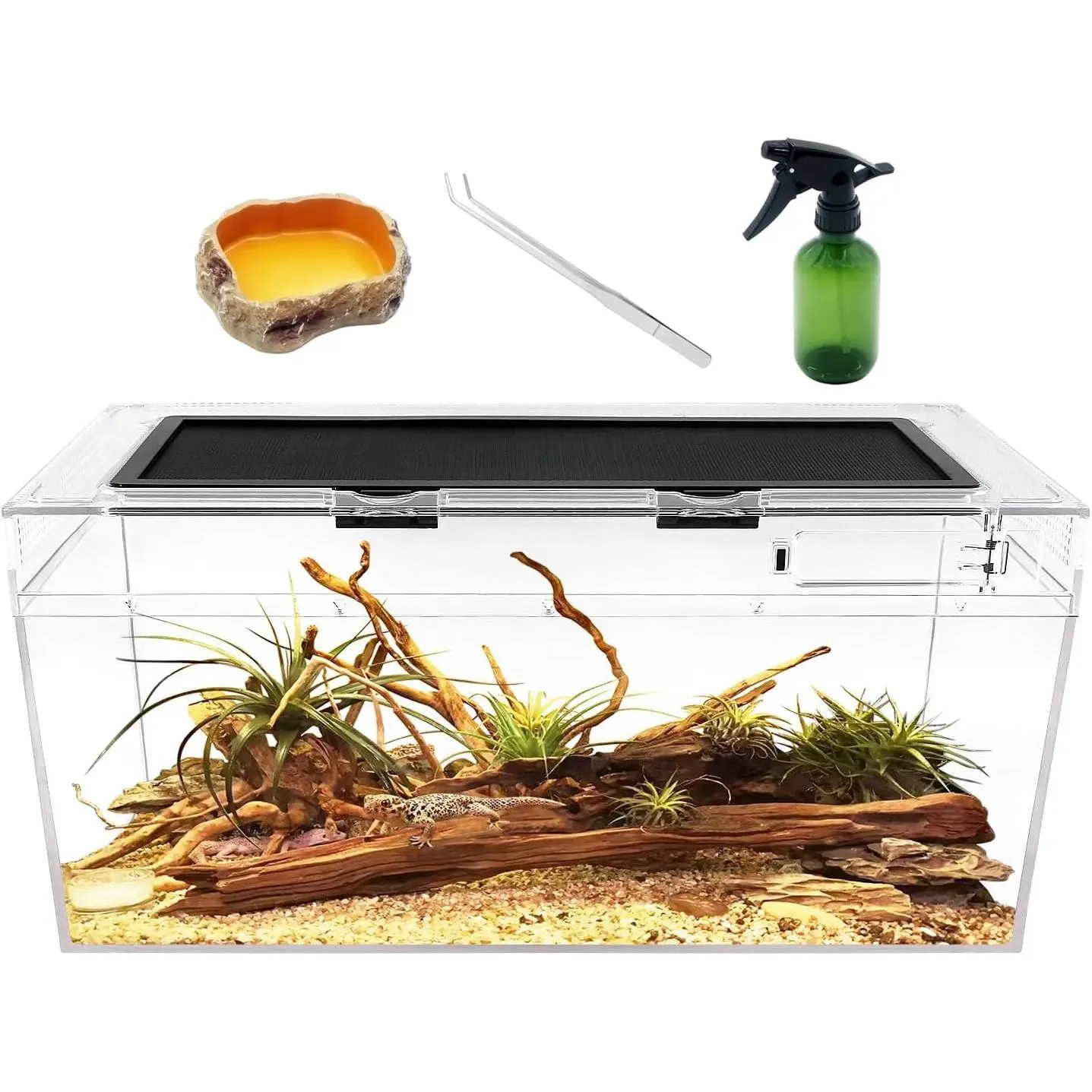 Plastic Rectangle Reptile Terrarium Tank - 20x10x8 in, UVB/IR Safe Vivarium with Mesh Venting, Convenient Feeding Access & Exclusive Key, Ideal for Small Reptiles, 20*10*8 Inch
