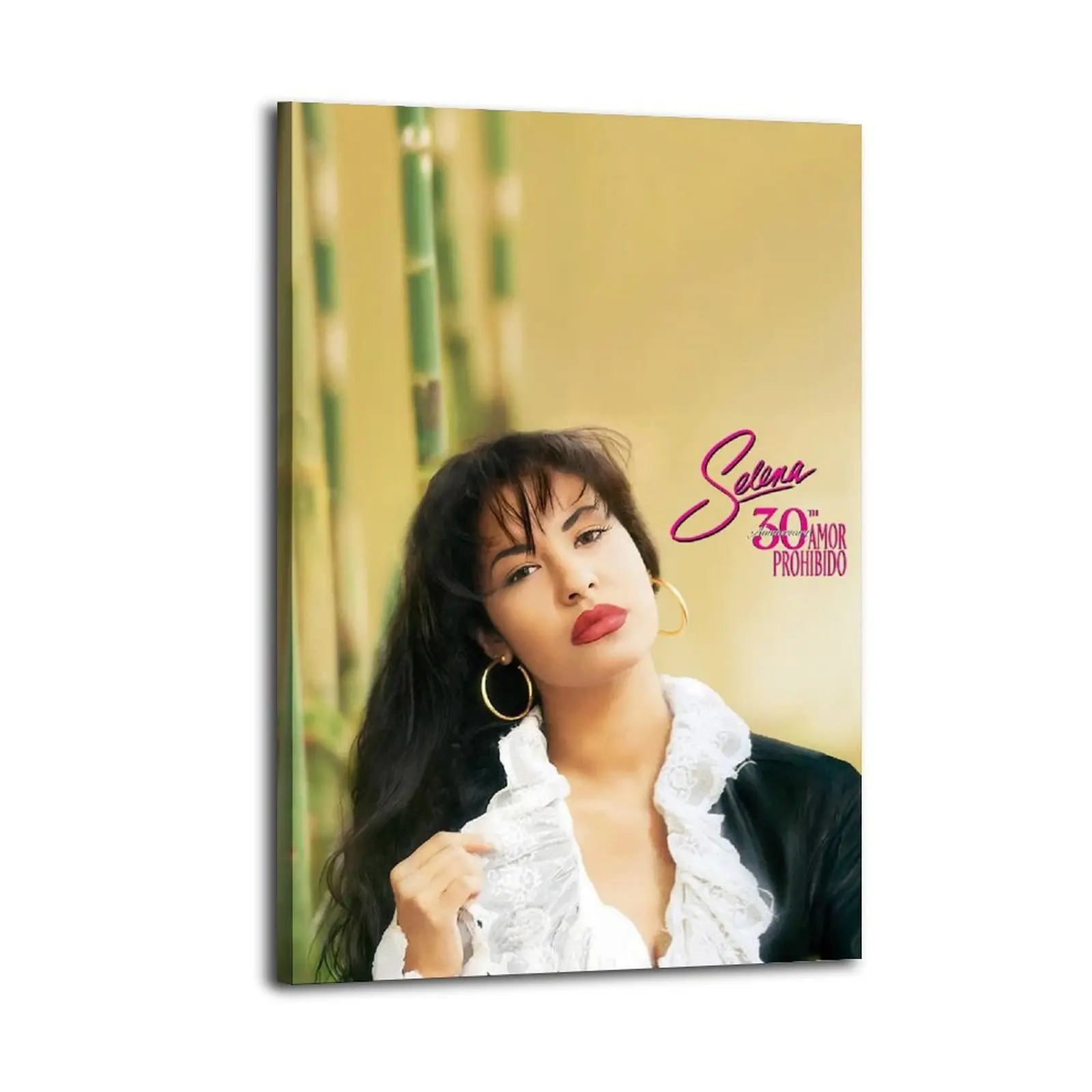 Selena Quintanilla Amor Prohibido HomeDecor WallArt LivingRoom Canvas for Bedroom Decor Canvas Poster Aesthetic Office Bathroom Painting Picture Print Modern Family