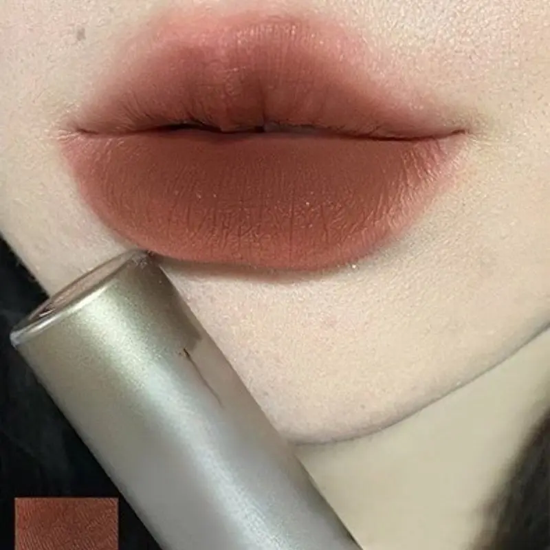 Velvet Matte Lip Glaze Long Lasting Waterproof Lipstick Matte Lipsticks, European American Style Red Brown Chocolate Coffee Nude Earth Tone Lip Gloss, High Pigment Non-Stick Cup Lip Makeup for Women Daily Wear & Evening Party