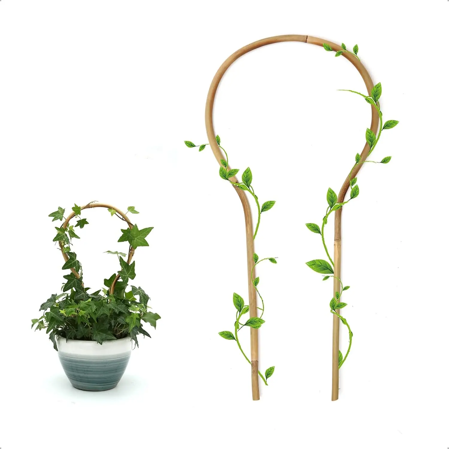 3Pack  Trellis 16 Inch Round Shaped Small  Trellis for Indoor Potted  Climbing Monstera Orchid Vine Hoya Houseplant