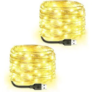 USB Powered Fairy Lights, 2 Pack 33Ft 100 LED, Flexible Silver Wire, Mini String Lights for Christmas Tree/Bedroom/Camping/Holiday Indoor Decoration, Warm Whitefidget toys