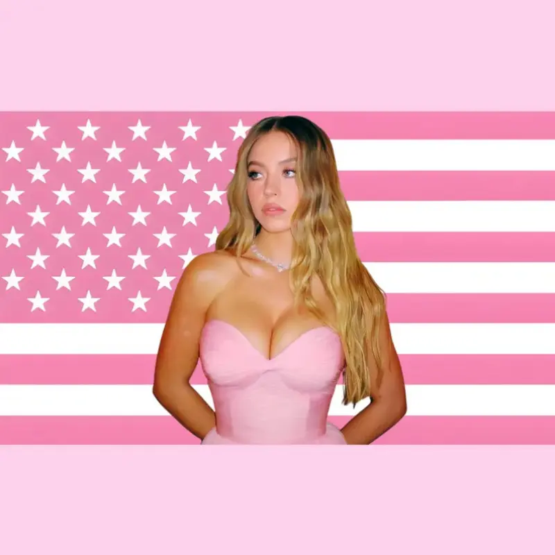 Sydney Sweeney Pink Aesthetic Wall Tapestry Flag Decor Euphoria Inspired Bedroom Banner, Viral Actress Room Poster, Bedroom Dorm Decor, Fan Room Polyester Tapestry