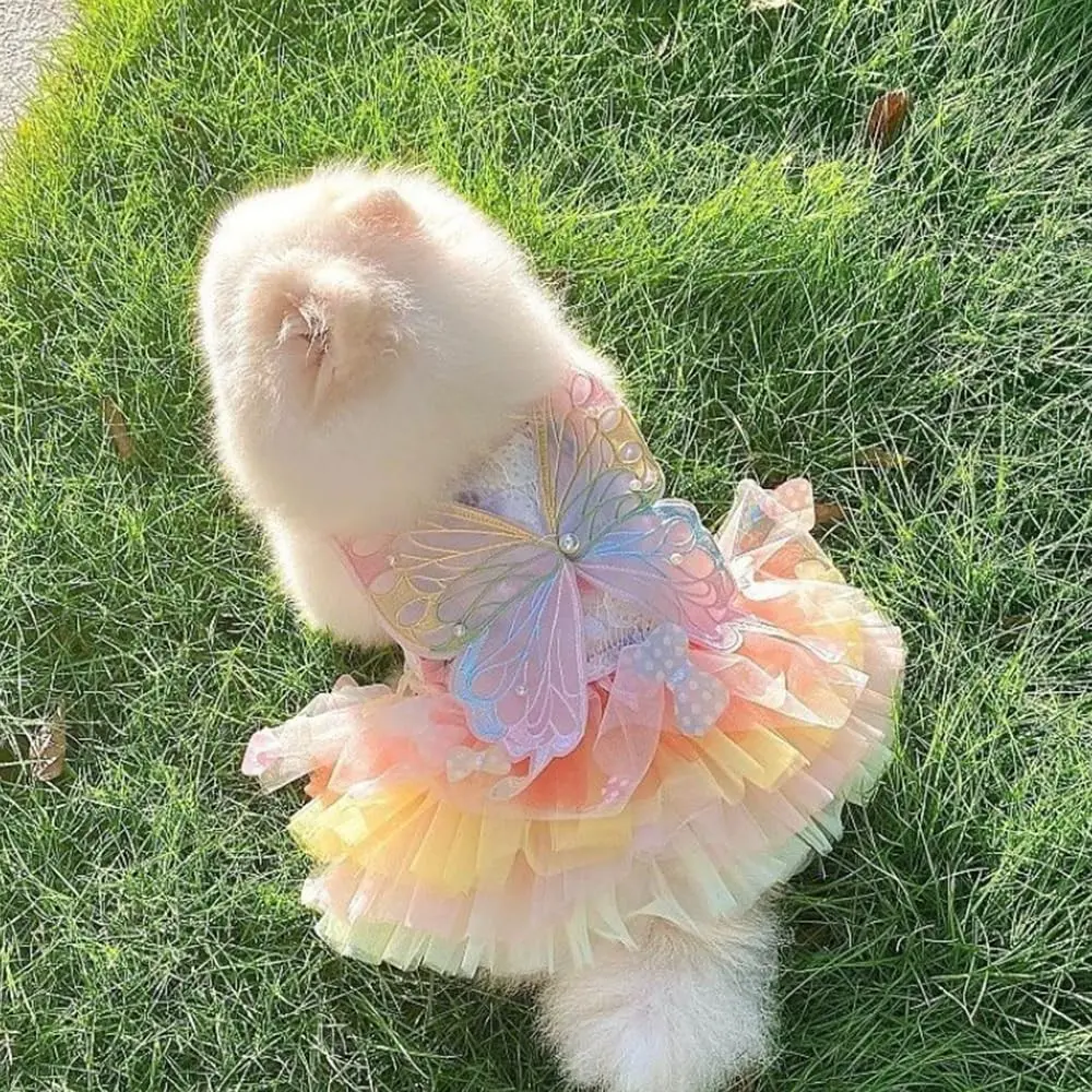 Rainbow Butterfly Dog Dress with Wings, Lace Fairy Tutu for Small Dogs and Cats, Puppy Clothes, Kitten, Princess Gown for Chihuahua and Yorkshire Terrier, Costumes
