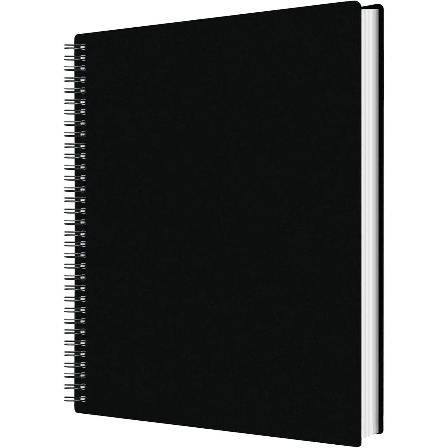 50 Pockets Portfolio Binder with Plastic Sleeves, Presentation Book Display 100 Pages File Folder for Artwork, Sheet , Document,  Painting (50 Pockets Portfolio Binder)