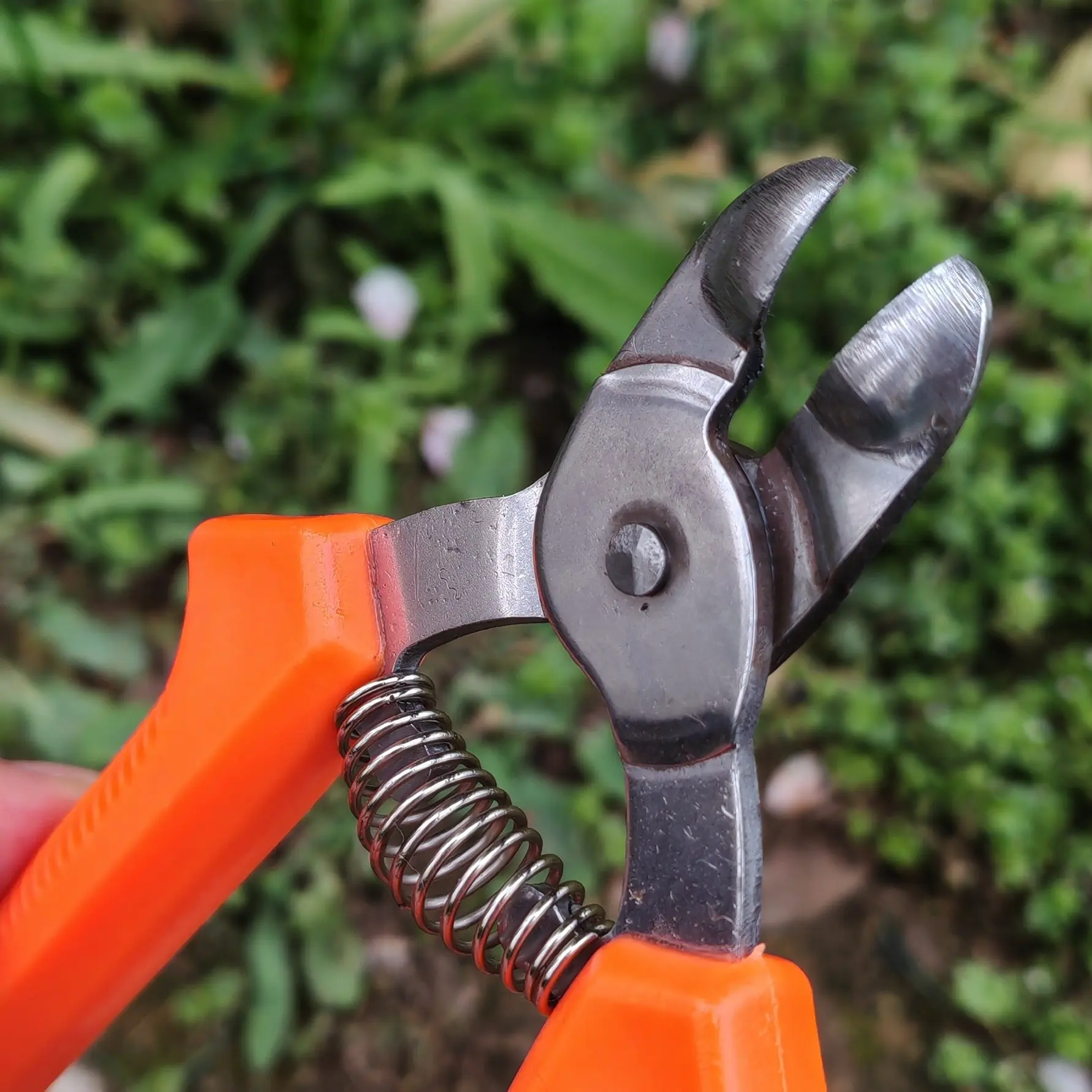 Professional Fruit Stem Cutter Scissors, Tomato Stem Remover, Vegetable Harvesting Tool, Apple Pear Clipper, Garden Pruning Tool, Damage-Free Design