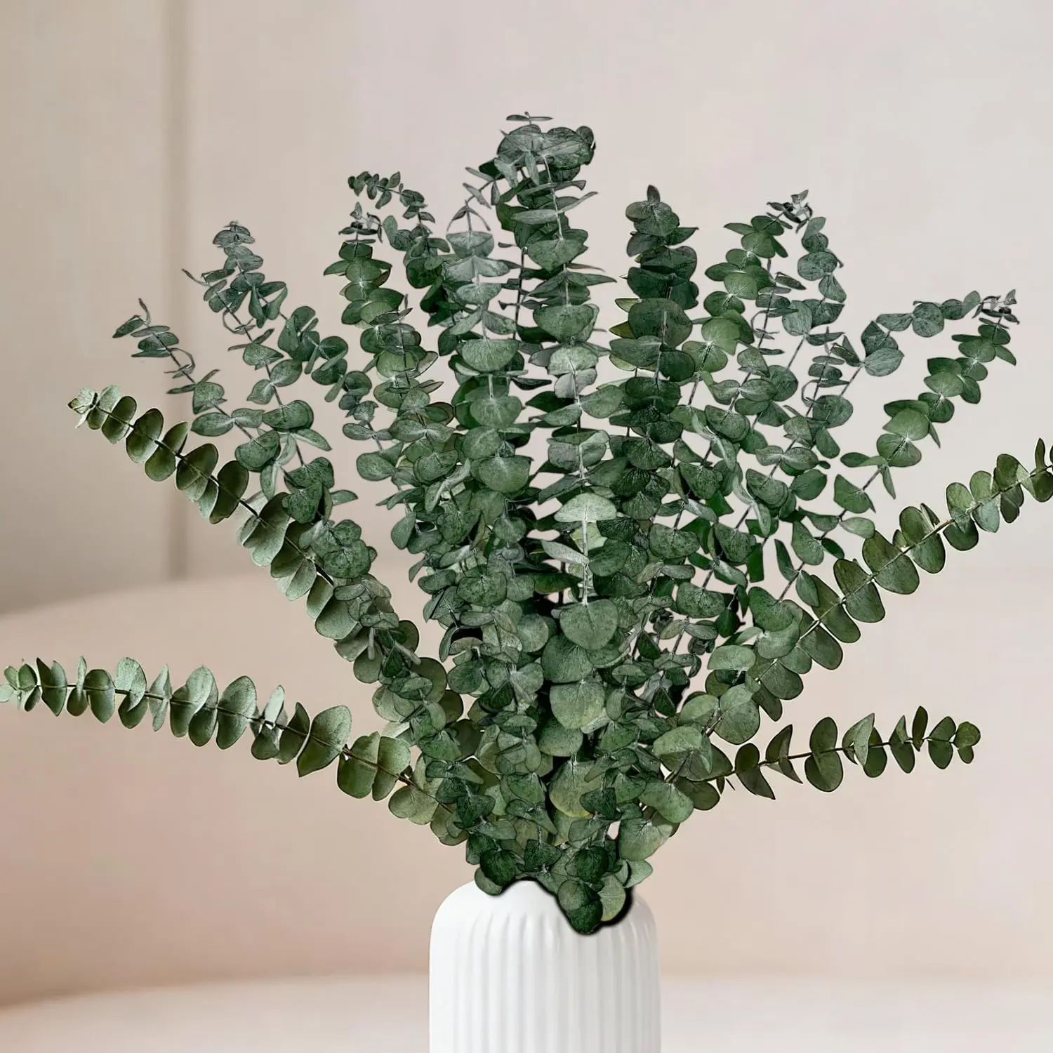 18 count Real Dried Eucalyptus Stems,17"  Eucalyptus Branches for Shower to Release , Vase Filler, Bathroom Decor, Dried Flower Arrangement