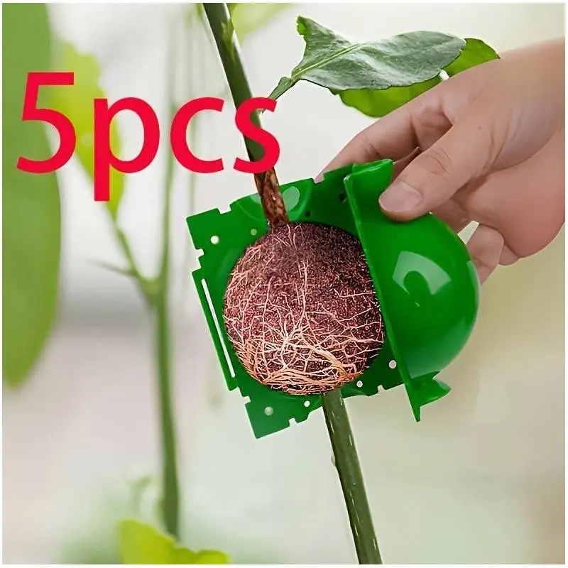 5pcs Premium Durable Reusable Root Growth Boxes, High Quality Rooting Ball Grafting Tools, Sturdy Root Growth Pods for Plant Cuttings