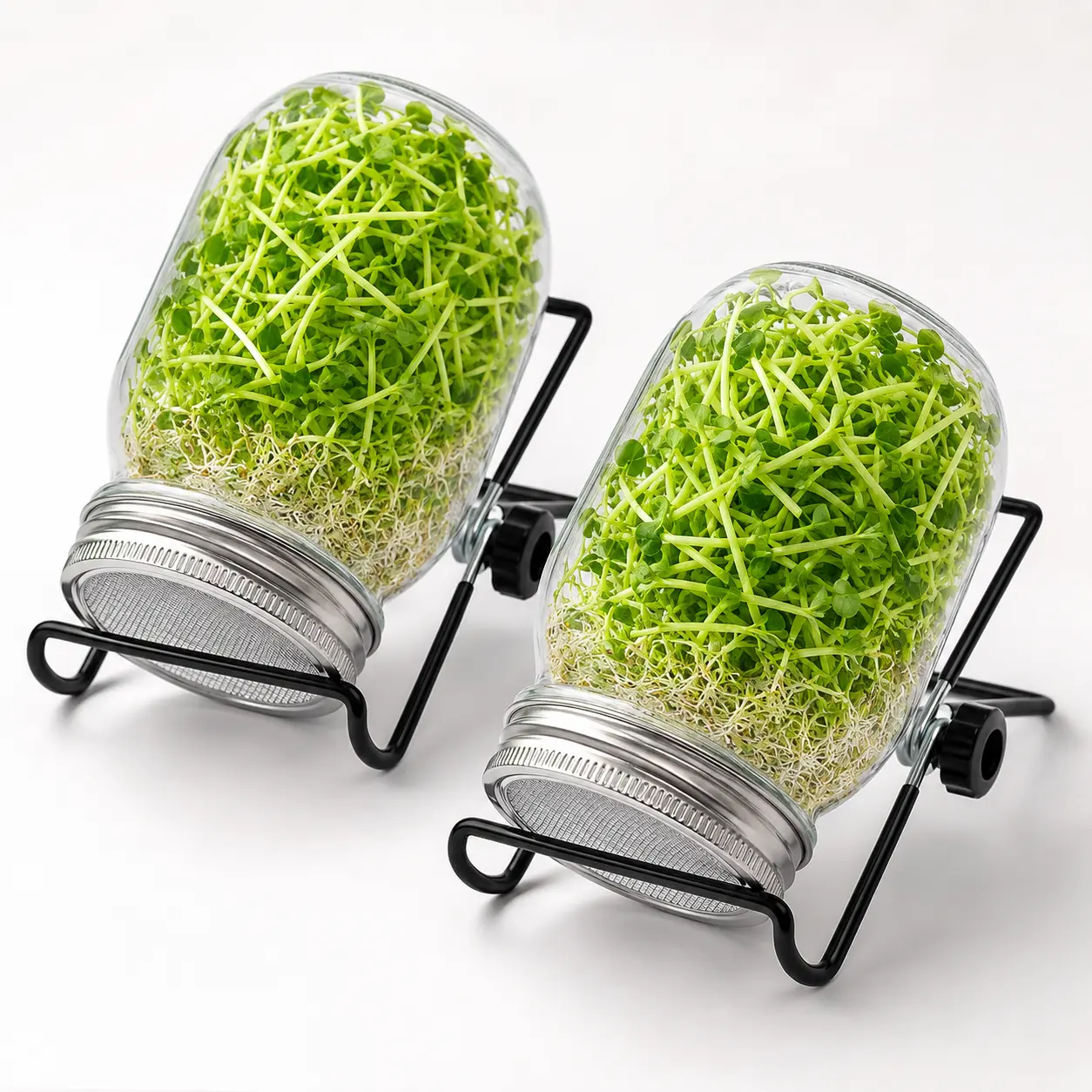 2-Pack Seed Sprouter Kit - Wide Mouth Glass Jars with Stainless Steel Mesh Lids and Draining Stands for Indoor Sprouting, Glass Jar