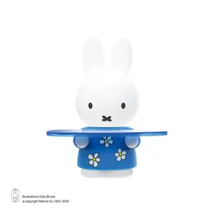 Kawaii Miffy Rabbit Tray Ornament Bright Box Cute Cartoon Art Ornament Decorative Gift Large Creative Gift Storage Tray