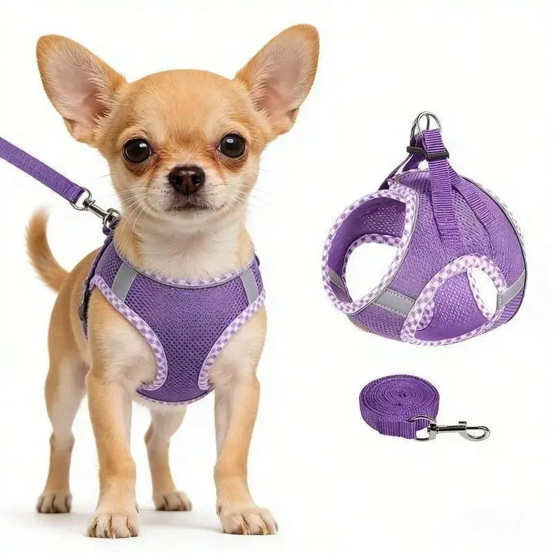 2Pcs Dog Harness and Leash Set, Adjustable No Pull Dog Chest Strap, Outdoor Walking Pet Supplies for Small Medium Large Dogs Reflective Step-in Dog Harness & Leash Set, Soft Mesh No Pull Puppy Vest Harness, Adjustable Lightweight Walking Gear