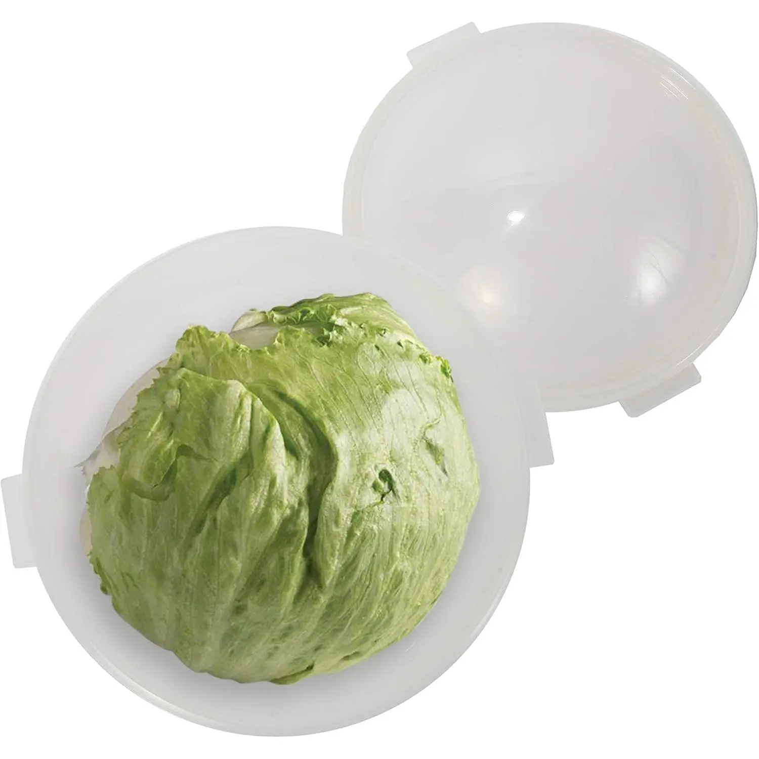 Lettuce And Vegatable Storage Keeper | 7" X 8"