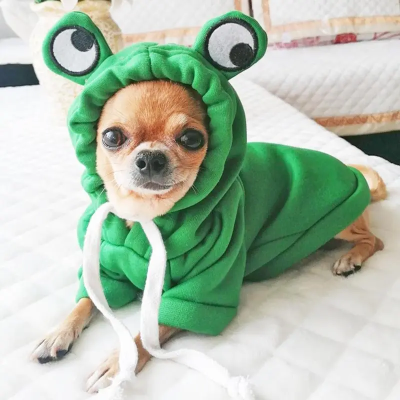 Fun pet clothing Cute Clothes suitable for dogs, cats, girls, men, dogs, hoodies, warm dog sports shirts, jackets with eyecaps, autumn cat clothing, Christmas and Halloween clothing, dog frog clothing