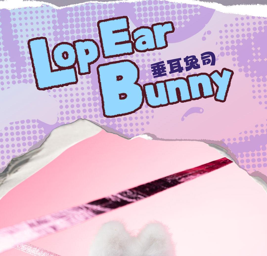 1341. Suri Magical Animal Series Plush Blind Box