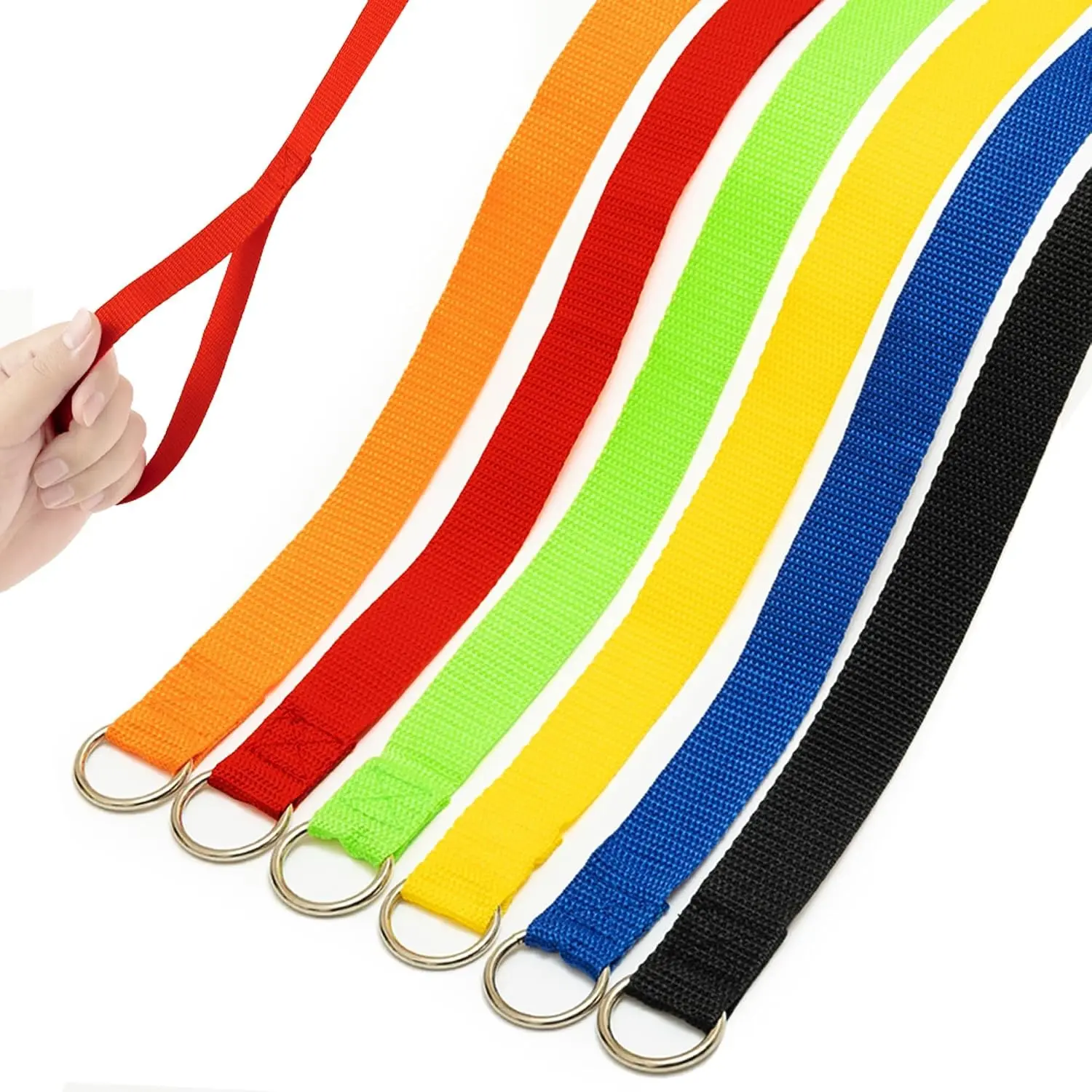 Slip Lead Dog Leash 6 FT, 6 Pack Bulk Pet Leashes with O-Ring(Gift)