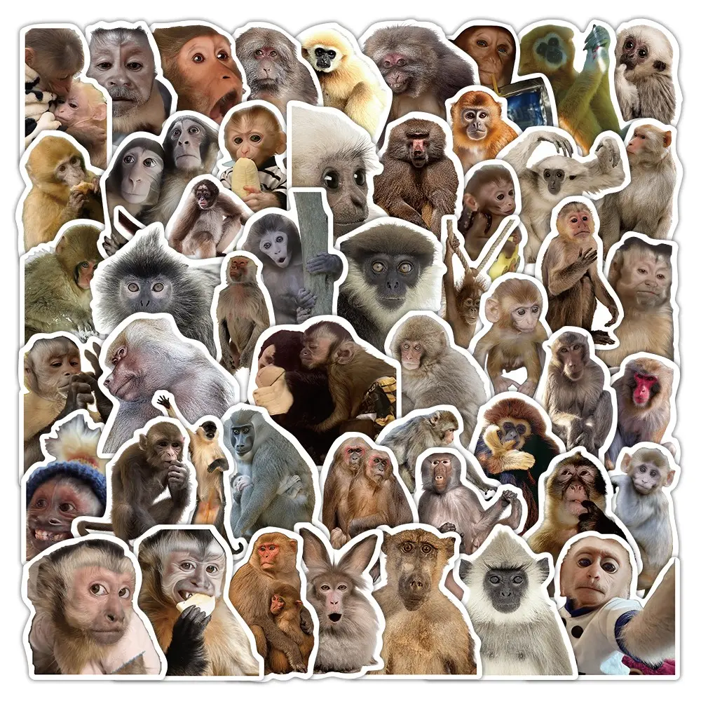 50Pcs Monkey Stickers Durable Waterproof Vinyl Decals For Water Bottles Laptop Luggage Cup Computer Mobile Phone Skateboard Funny Stickers Kindle Scrapbook Supplies Laptop Sticker Decoration