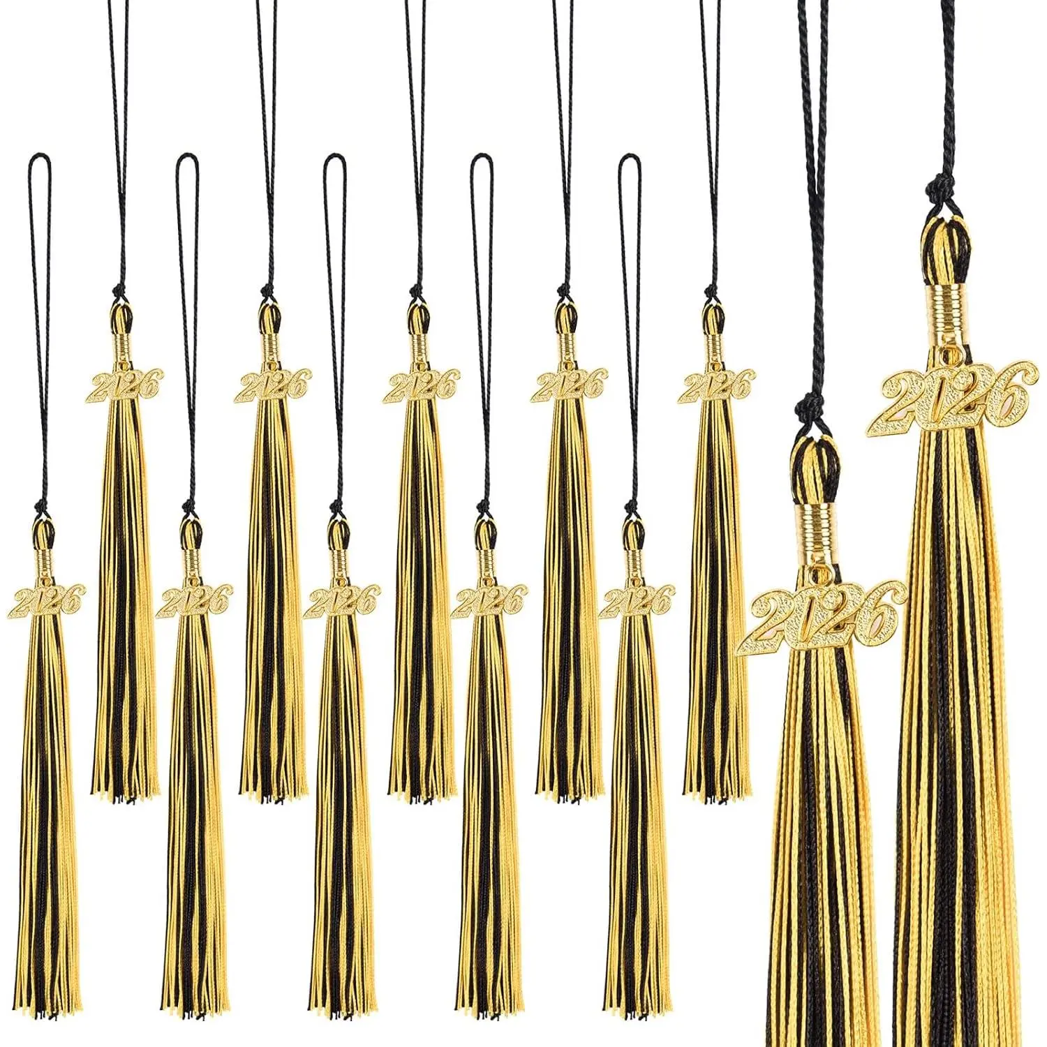 12-Pack Graduation Tassels with 2026 Year Charms – Graduation Cap Tassel Decorations for High School and College Grad Caps Ceremony and Party Accessories (Mix  Black)