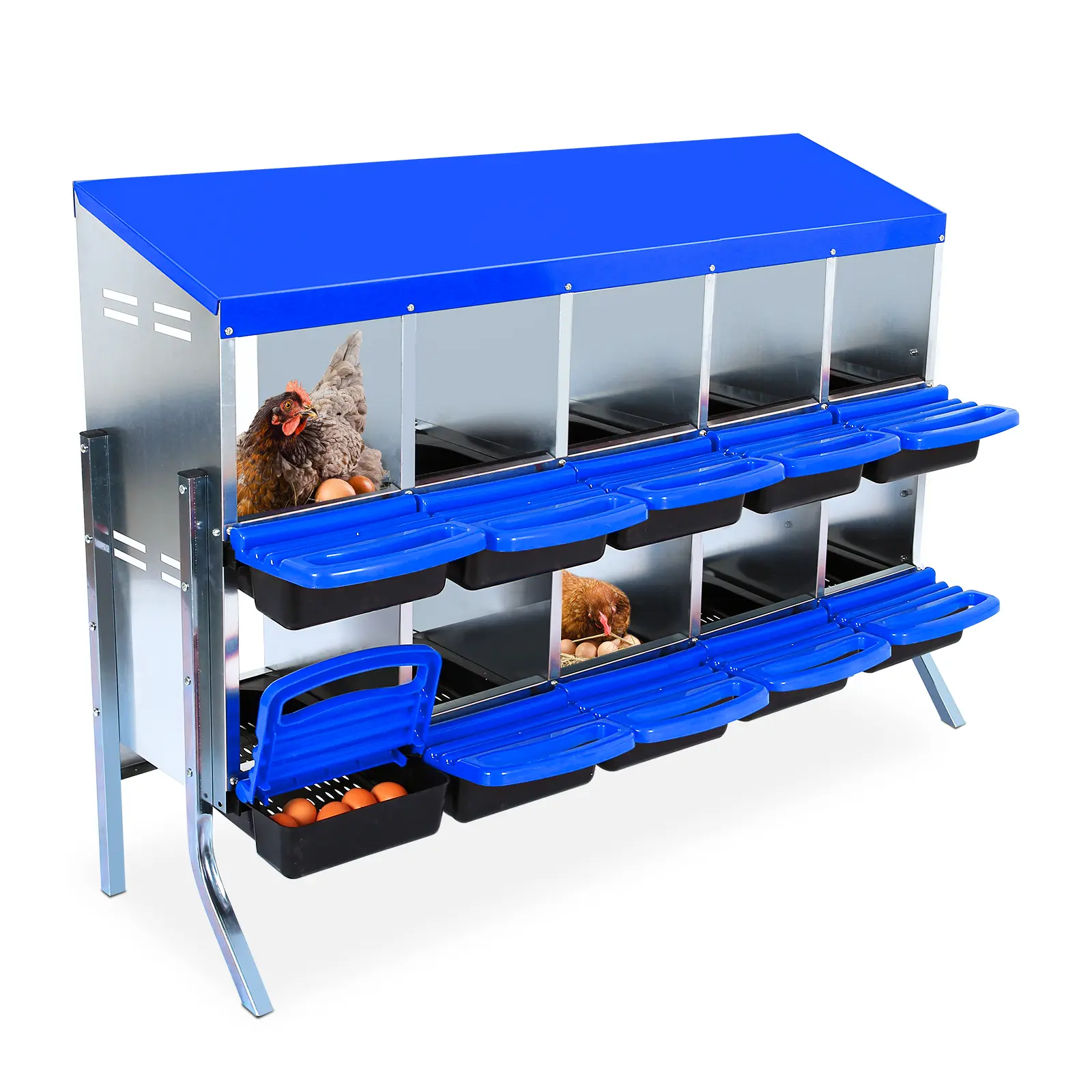 🐔 Blue Roll-Away Chicken Nesting Box – 6/8/10 Compartments, Galvanized Steel & Removable Plastic Trays. Easy-Clean for Happy Hens! 🥚✨
