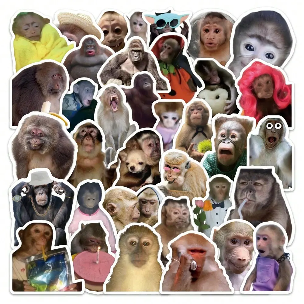 Monkey Meme Stickers Set, 5 Packs X 54pcs Each, 270pcs Total, Funny Abstract Style, Fun Animal Memo Journals, Cartoon Design