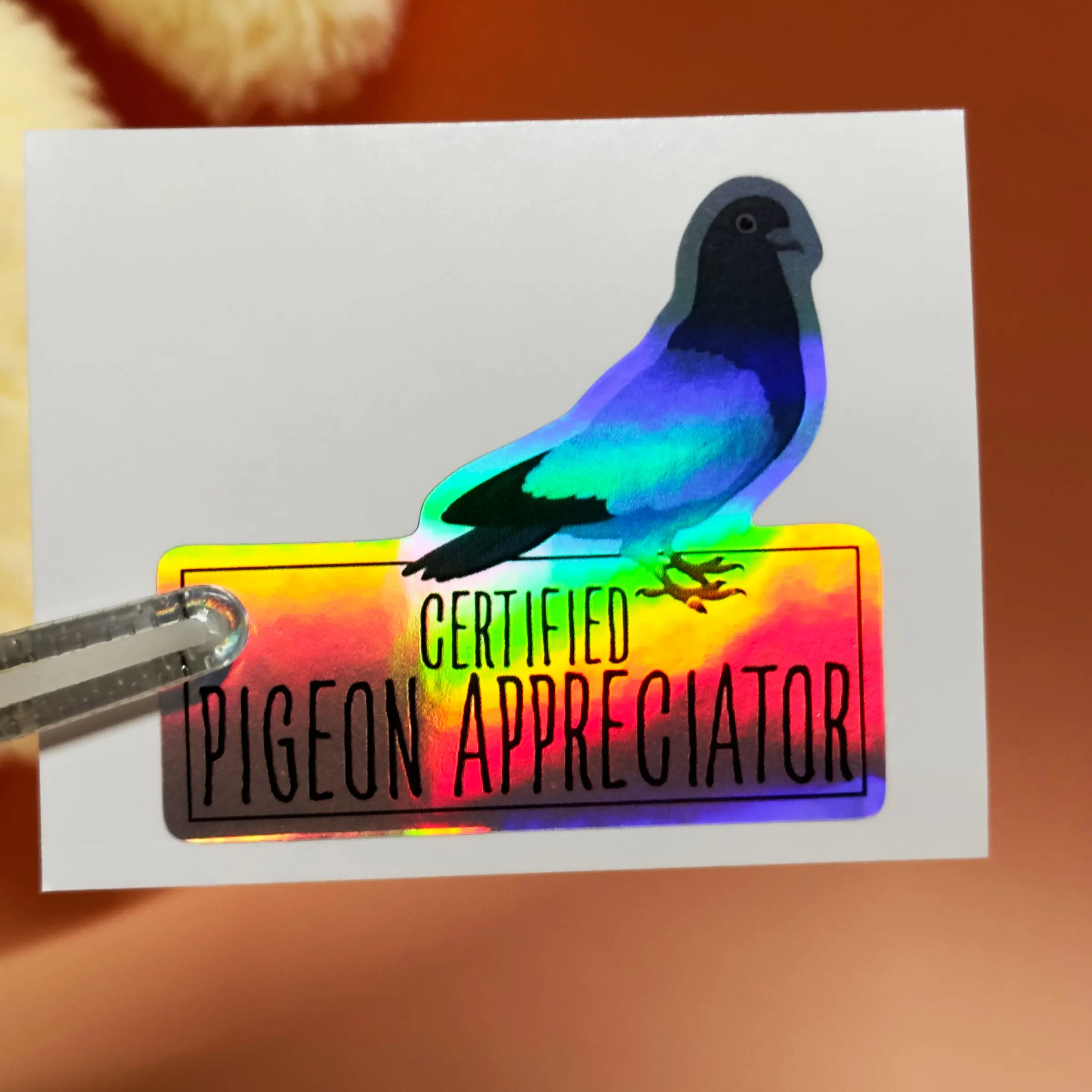 "Pigeon Connoisseur" Fun Bird Mobile Sticker (3pcs/1 set), Cute and Realistic Pigeon Animal Vinyl Decal, Grotesque Internet Terrier Sticker, Suitable for Water Bottles, Laptops, Gifts for Urban Wildlife Lovers, Fun Stationery Handbook Decoration