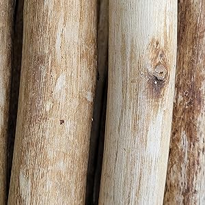 Backyard X-Scapes Natural Eucalyptus Wood Log for Edging Lawn Landscape Fence Borders 72 in L x 6 in H x 1.25 in D