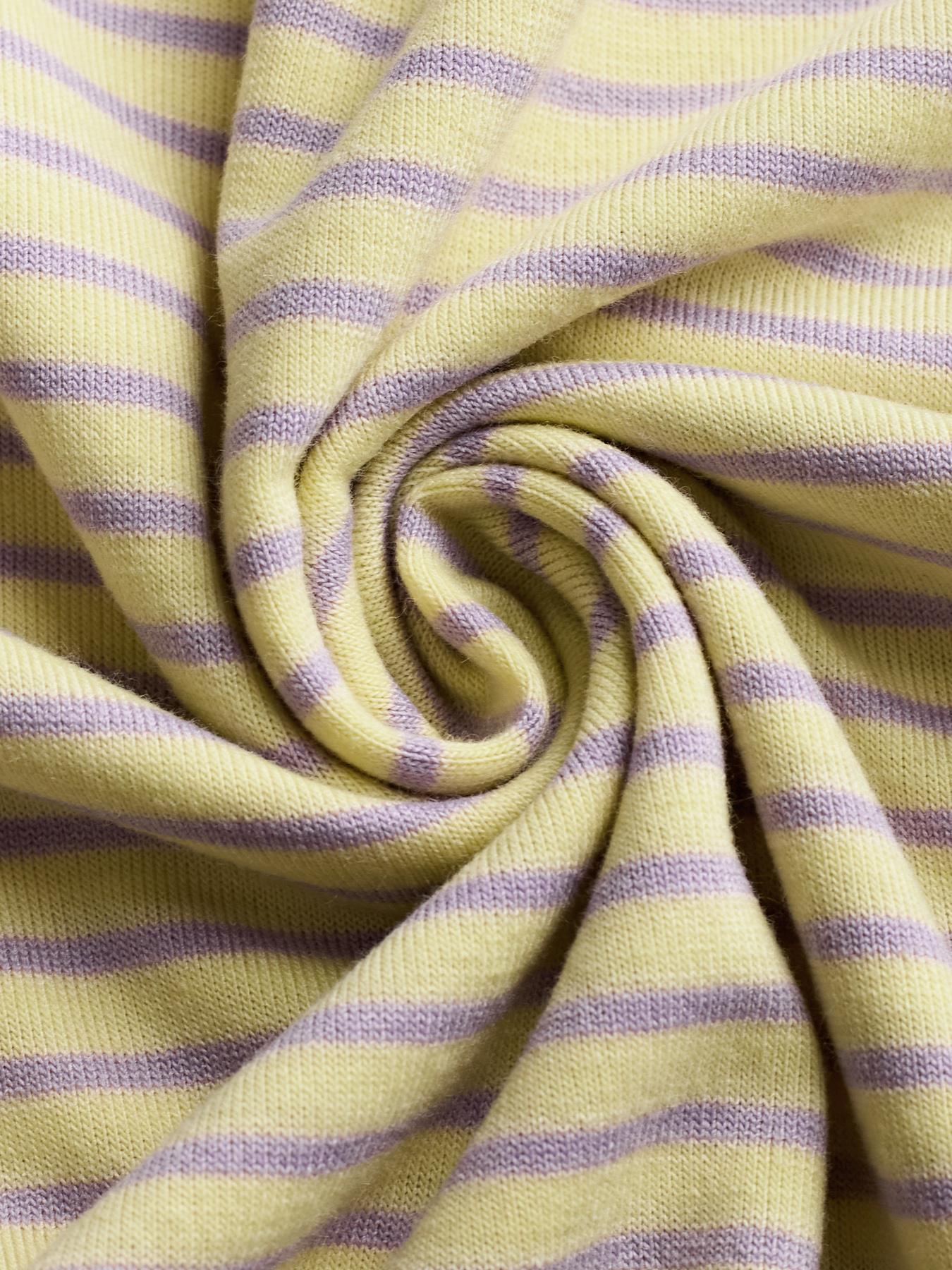 Women's Casual Striped Long Sleeve Top and Shorts Set, Fitted Regular Length, All Seasons, Plain Pattern, 2 Piece