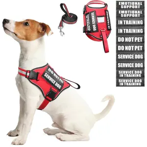 Service Dog Harness & Leash Set, Training Dog Vest with 10 Patches, Emotional Support Therapy Harness for Small Medium Large XL Dogs (Red, S)