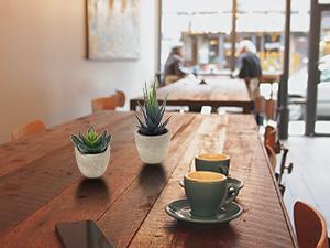 Artificial Succulent Plants Potted, Assorted Decorative Faux Succulent Potted Fake Cactus Cacti Plants with Pots, Set of 5